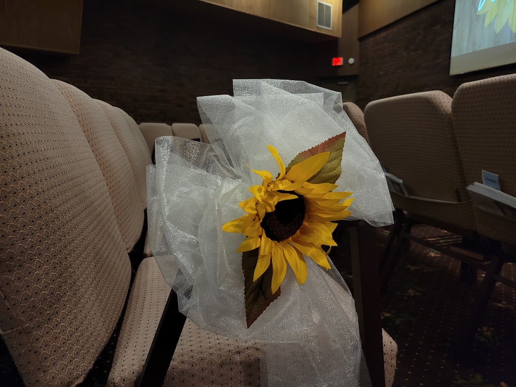 Sunflower on Chair